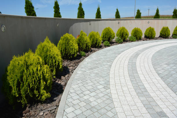 Best Residential Paver Driveway  in Eveleth, MN